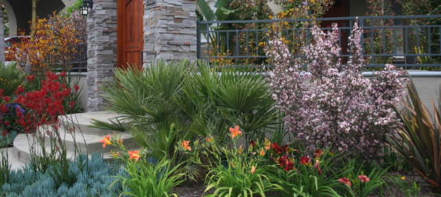 Replacing your turf with drought-resistant plants is a money-saving way to bring beauty to your home or business.